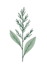 Evergreen & Sage Business Services